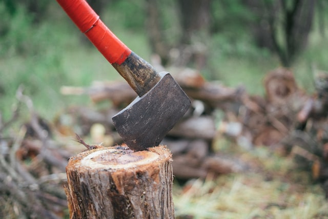 Medžių pjovimas: ką reikėtų žinoti prieš nupjaunant medį kieme?